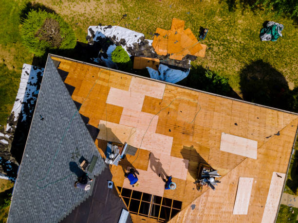 Best Metal Roofing Contractor  in Saltillo, MS