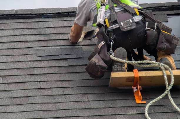 Best Roof Gutter Cleaning  in Saltillo, MS